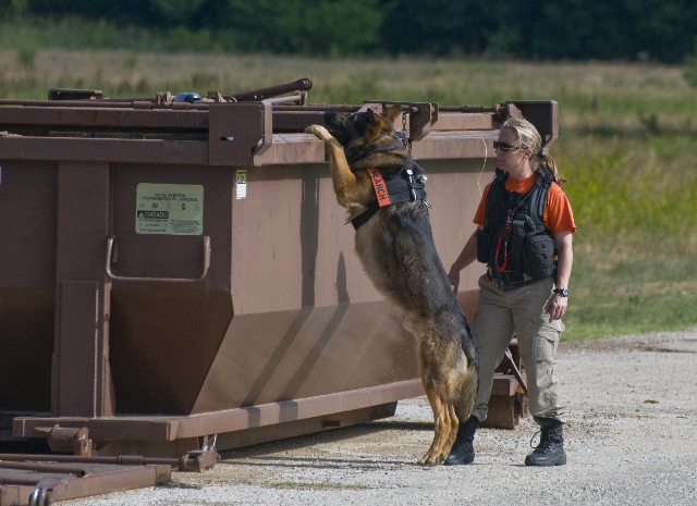 Searching - Search One Rescue Team - Dallas Ft. Worth K9 Search and Rescue