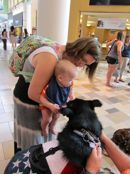 Blade with baby - Search One Rescue Team - Dallas Ft. Worth K9 Search and Rescue