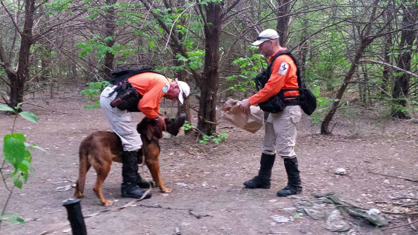 Search One Rescue Team - Dallas Ft. Worth K9 Search and Rescue