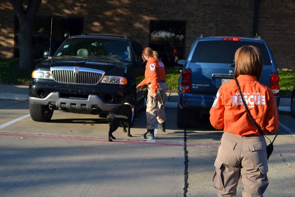 Child Abduction Search - Carrollton 2011 with Joker - Search One Rescue Team - K9 Search and Rescue - Dallas Fort Worth Search and Rescue