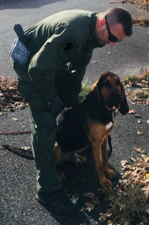 Taylor Bracken - SORT - Search One Rescue Team Trailing Instructor